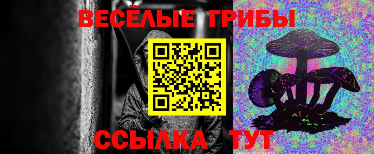 Галлюциногенные грибы прущие грибы Алексеевка